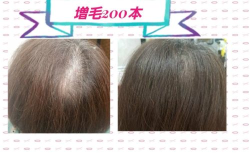 6797cc2d-e032-4429-b84b-83295ddcfab7